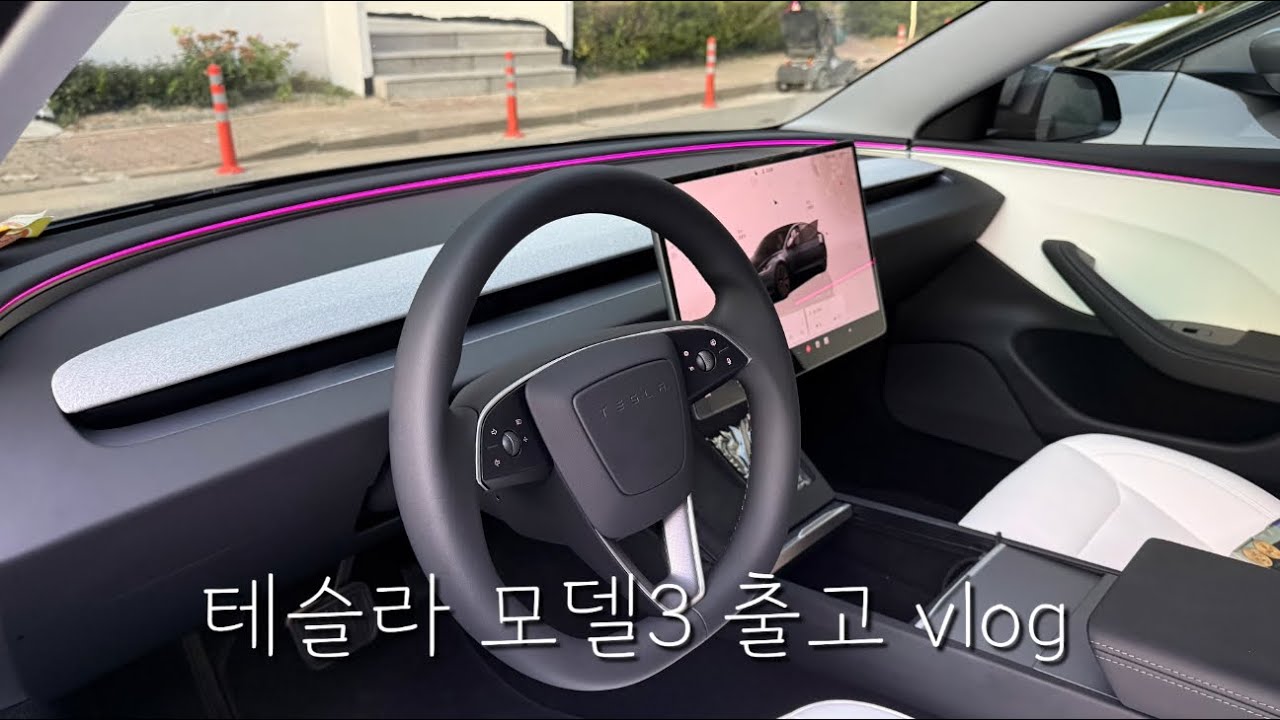 모델3 하이랜드 RWD 출고 브이로그! #첫전기차 #테슬라 🚘🐥