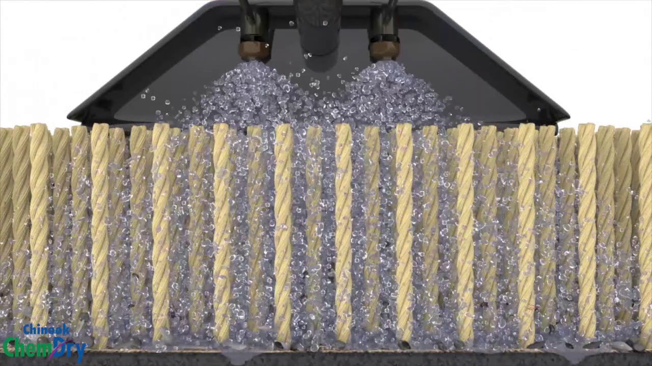 Chem-Dry vs Other Carpet Cleaners