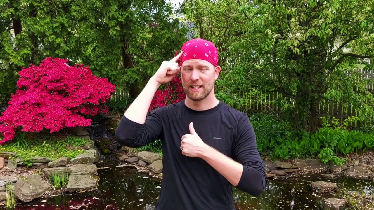 What a Wonderful World  - Sign Language