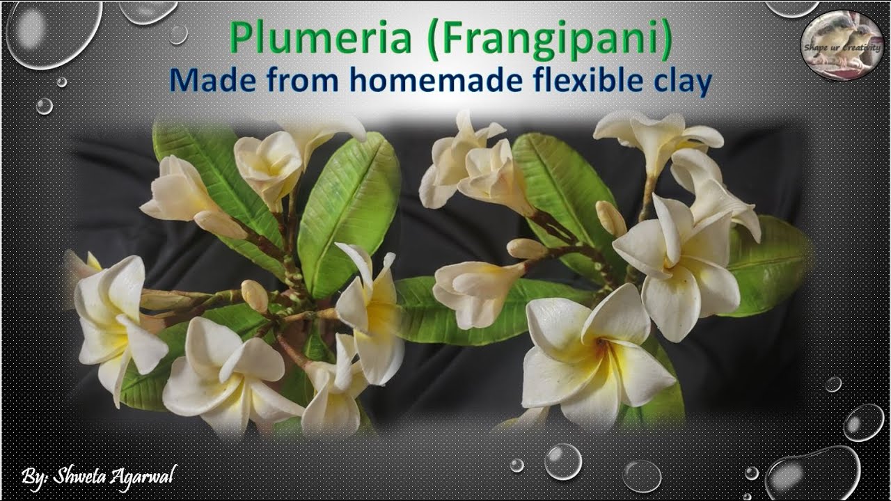 Tutorial: Plumeria(Frangipani) from flexible clay(cold porcelain) | Home decor