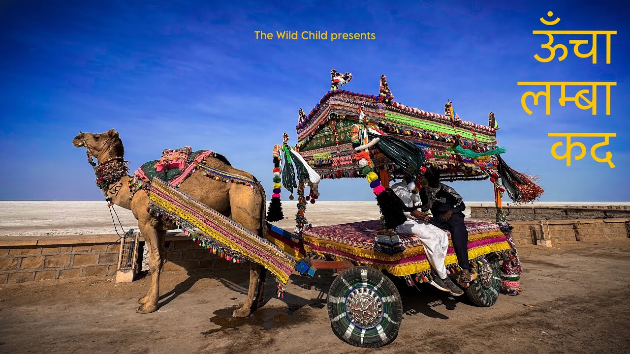 Uncha Lamba Kad | ऊँचा लम्बा कद | Documentary | The Wild Child | Shot on  @Apple