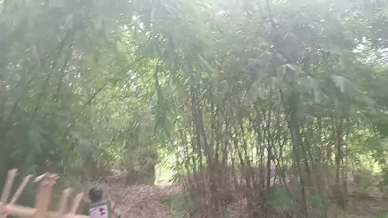 GODOG bikepark bag 2-telusuri kebun bambu