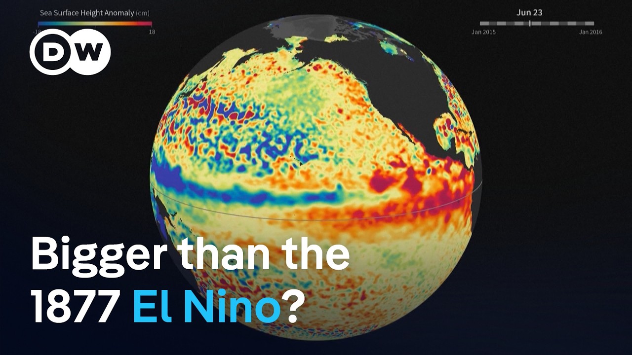 A historic El Nino is forming. Here's why scientists are worried | DW News