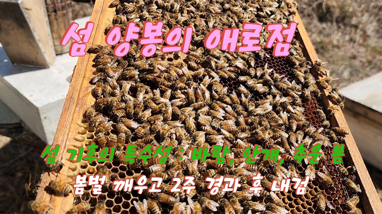 섬에서 양봉을 한다는 것은?