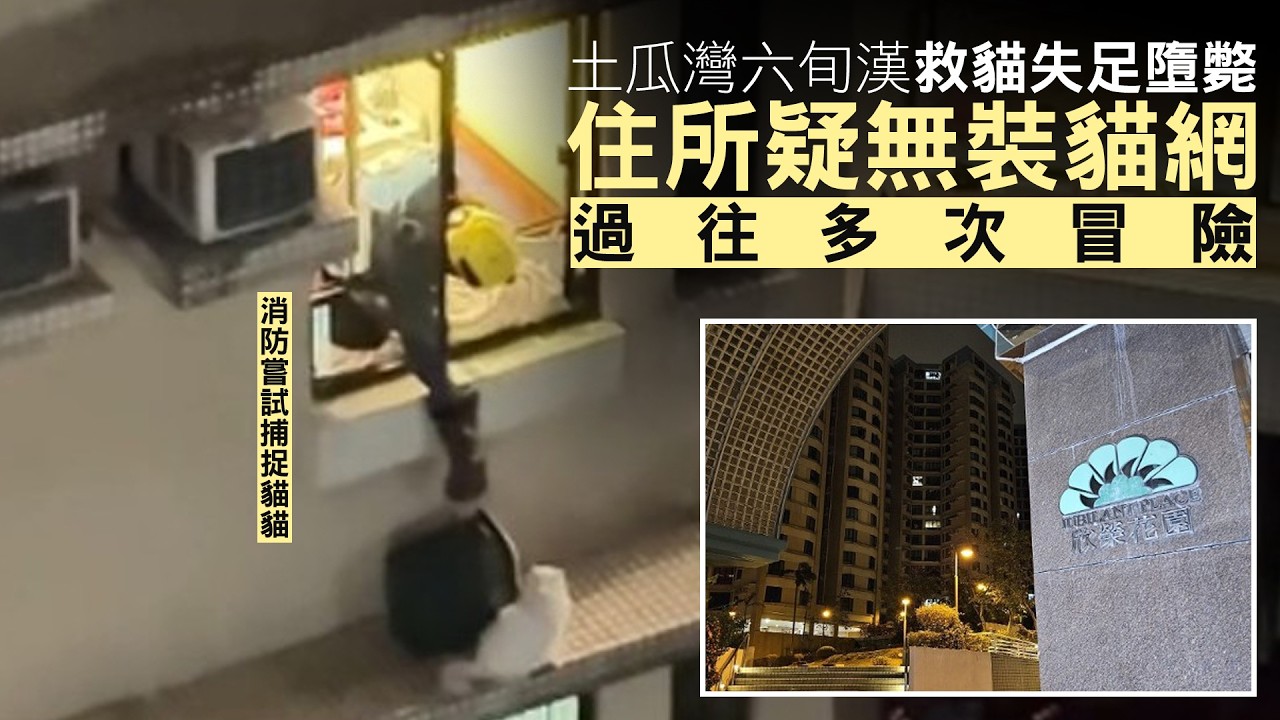 【on.cc東網】土瓜灣六旬漢救貓失足墮斃　住所疑無裝貓網　過往多次冒險| 「東呼」港男盡責纜安全帶卻遇困　出大技「逃獄」點知