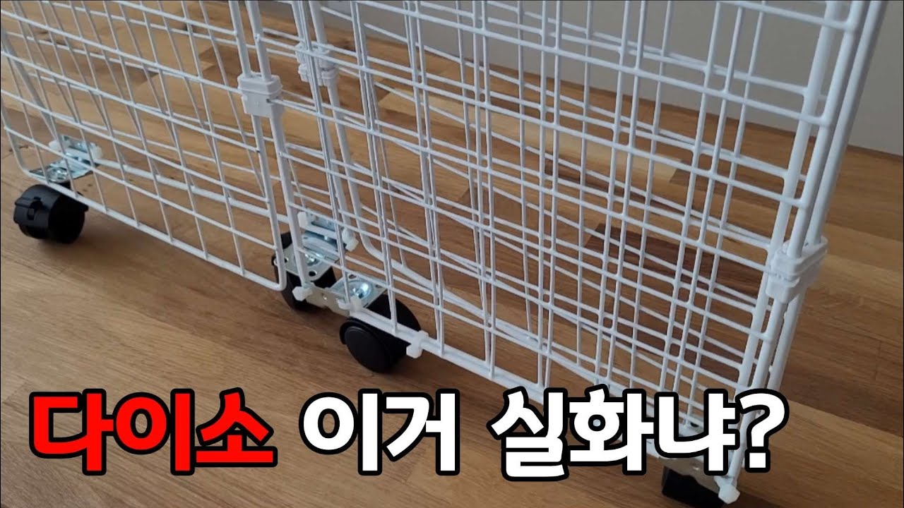 다이소 이거 실화예요? 아무도 모르는 다이소 꿀조합!! 이런 제품 출시 되었으면 좋겠습니다!
