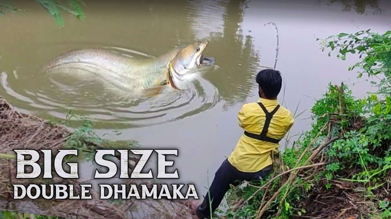 Big Monster Fish Catching||incredible Big Pathan Fish catch||Pathan Fishing Technique||Spoon Fishing