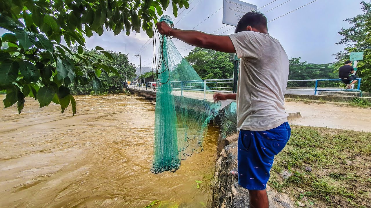 Una Gran Pesca y Cocina En Río Desbordado Después de las Lluvias