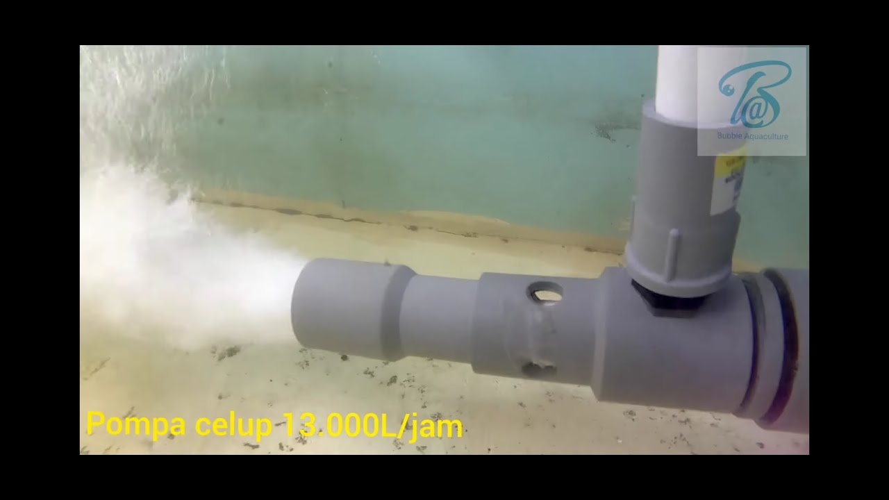 Efektif!! DIY venturi pompa submersible 4000-13.000L/jam