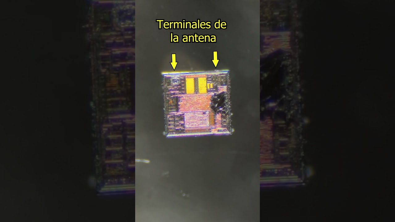 📡 Tag RFID Bajo El Microscopio