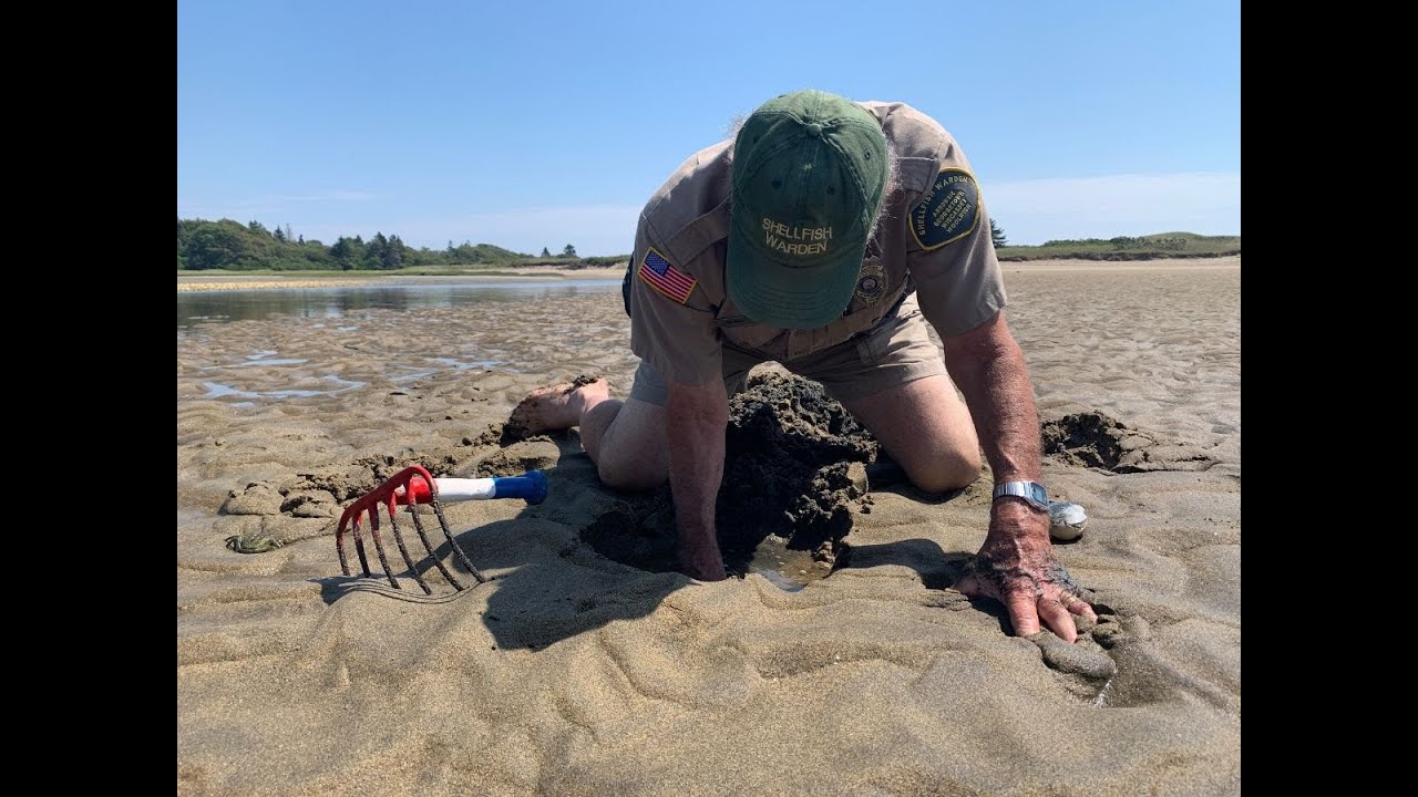 Clamming with KELT