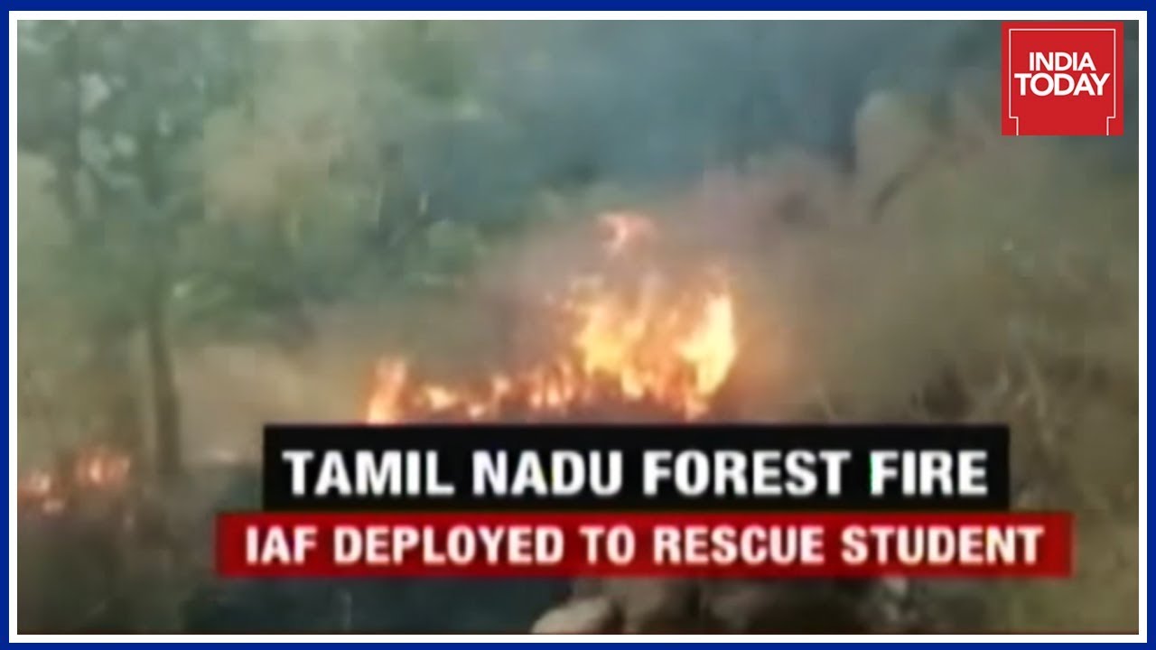 Nirmala Sitharaman Sends 2 IAF Choppers For TN Forest Fire Rescue Op