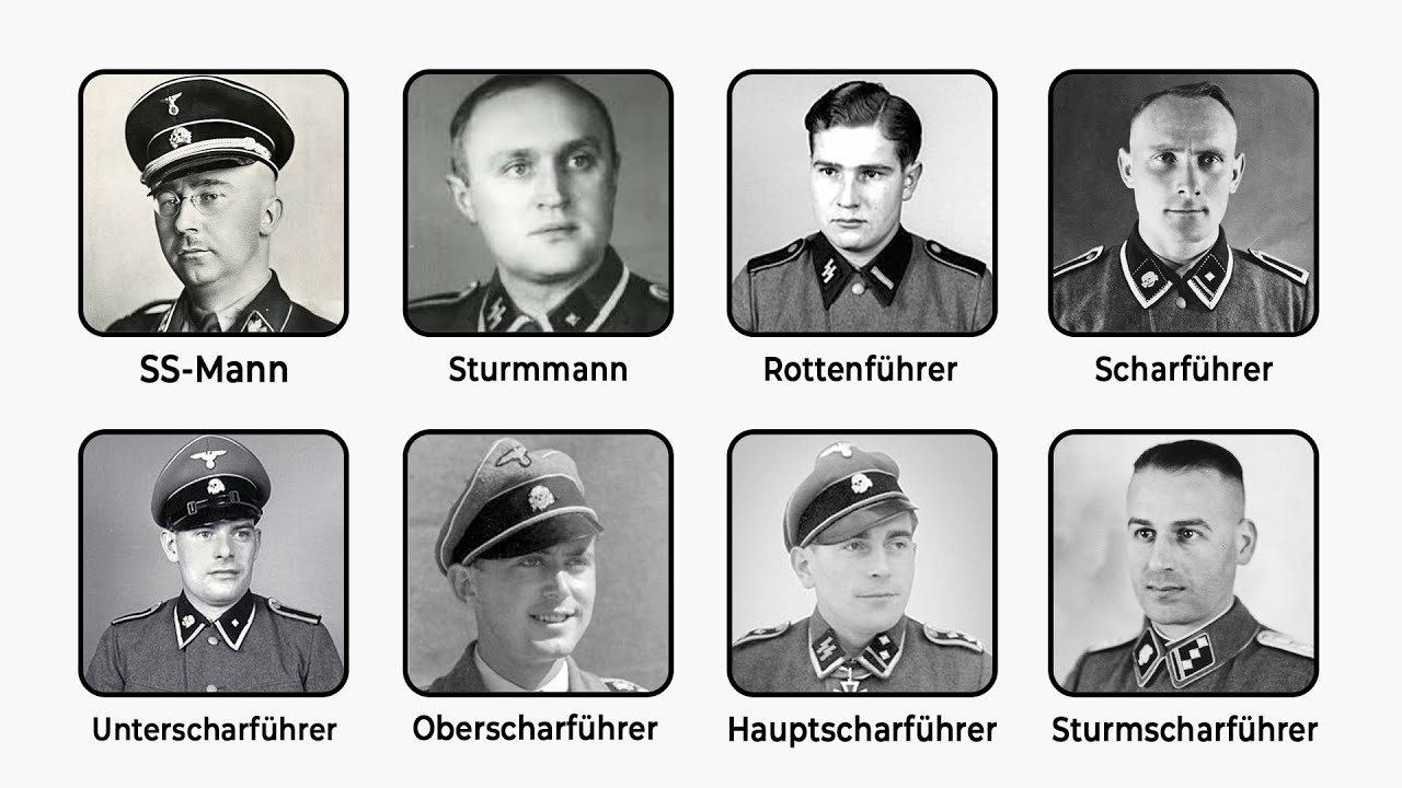Звания СС: тёмная иерархия, объясненная за 16 минут