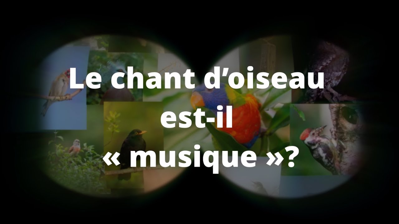 Les Oiseaux et la Musique