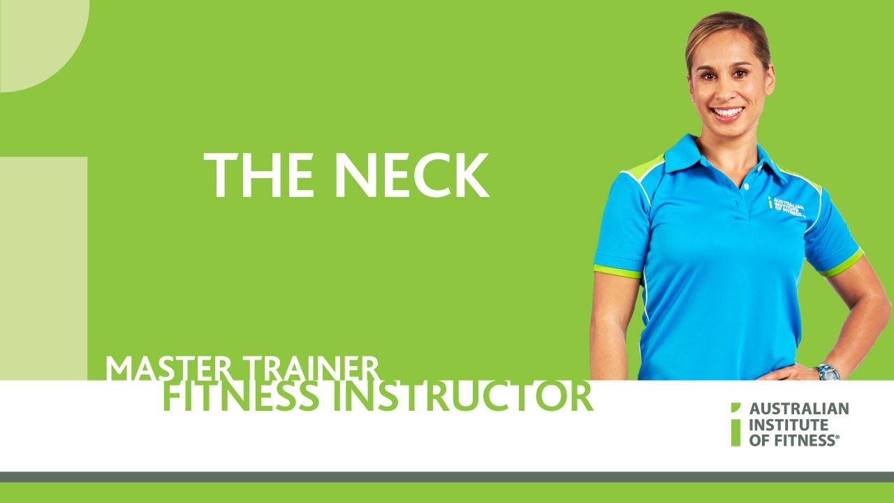 The Neck