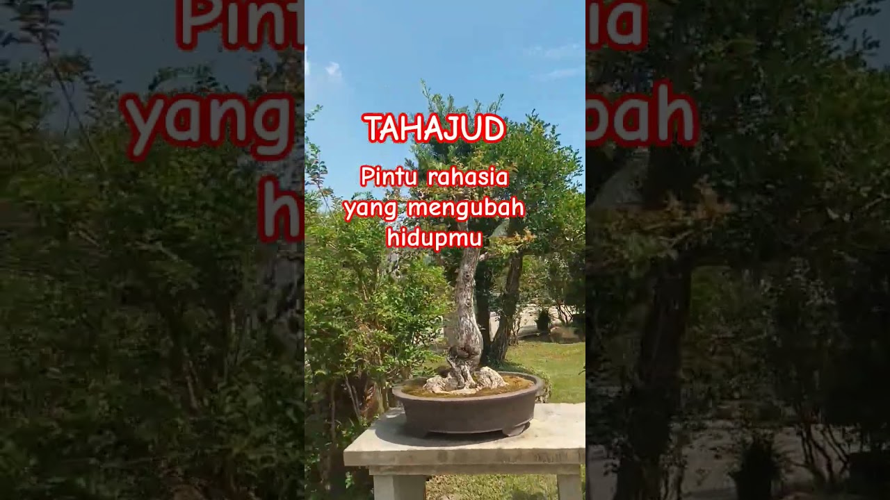 pintu rahasia yang mengubah hidupmu