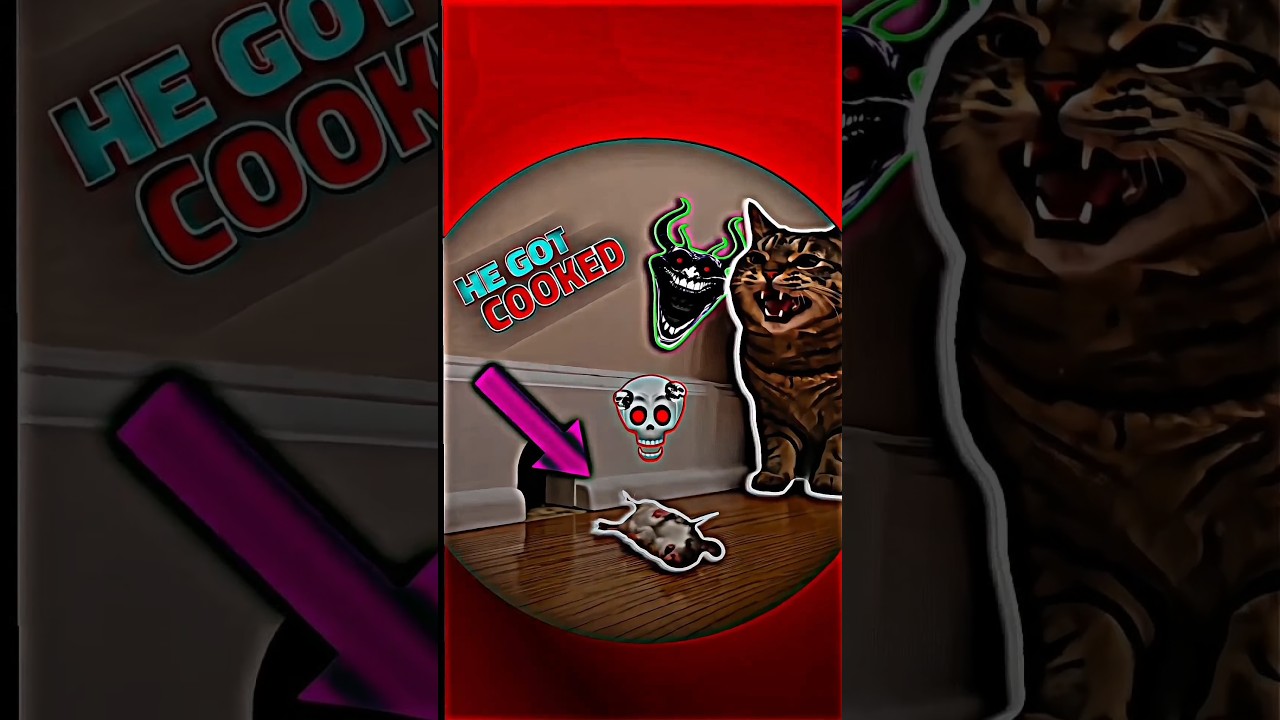 Shocking Cat vs Mouse Fight #trollface #edit #trendingshorts