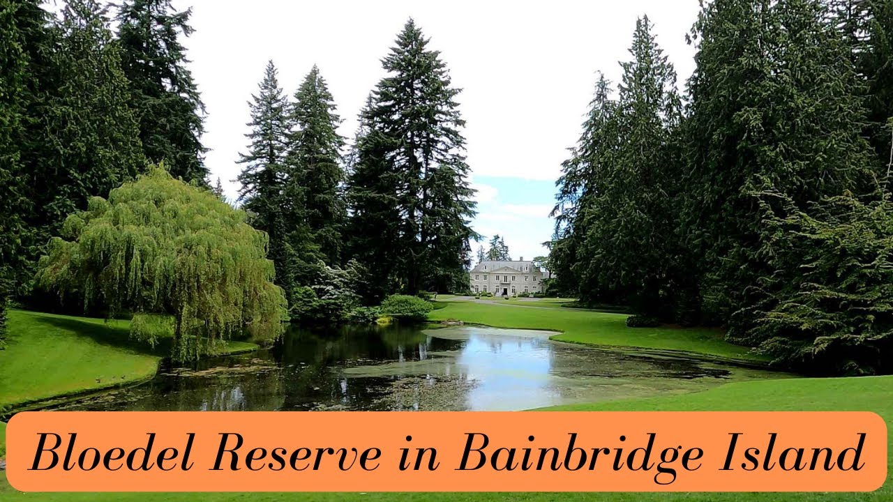 Walking at Blodel Reserve | Ep.17