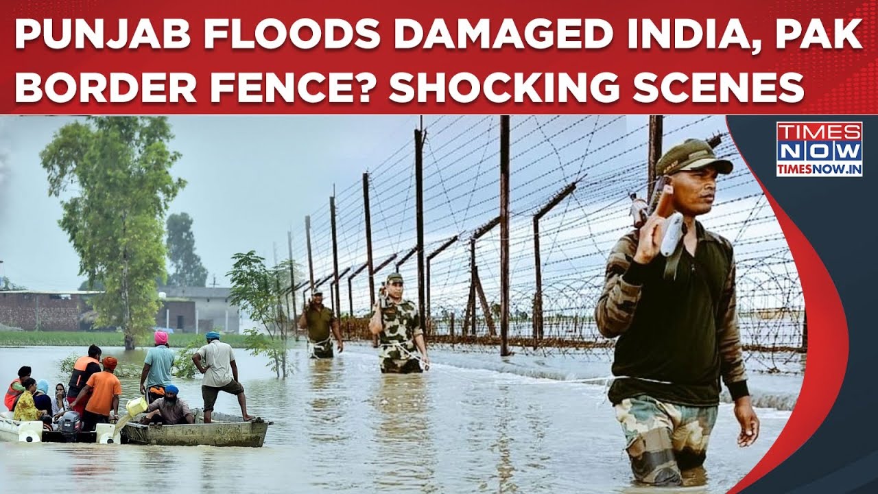 Punjab Floods: India, Pakistan Border Fence Damaged Amid Horrors? Scary Visuals| Locals Rush To...