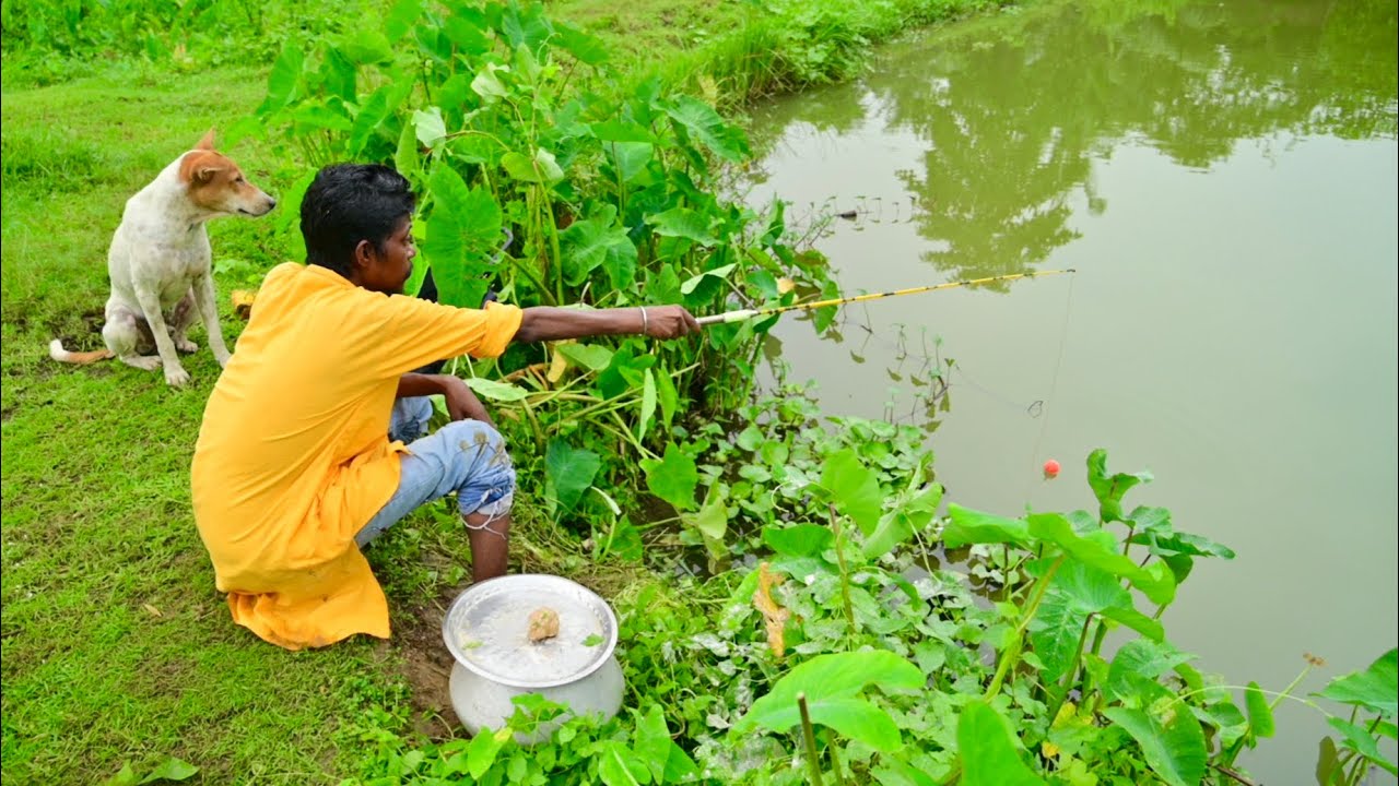Fishing Video 🦈🎣 || I would not have believed if I had not seen so many fish in the village Pond