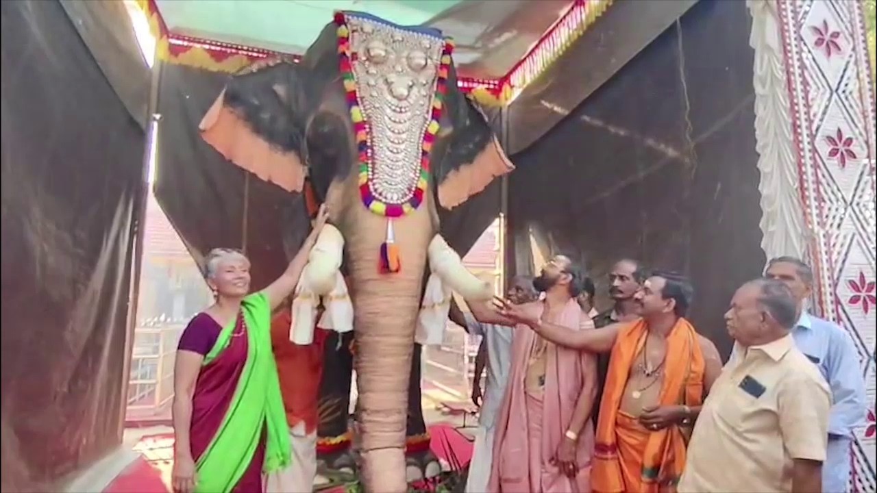 റോബോട്ടിക് ആന