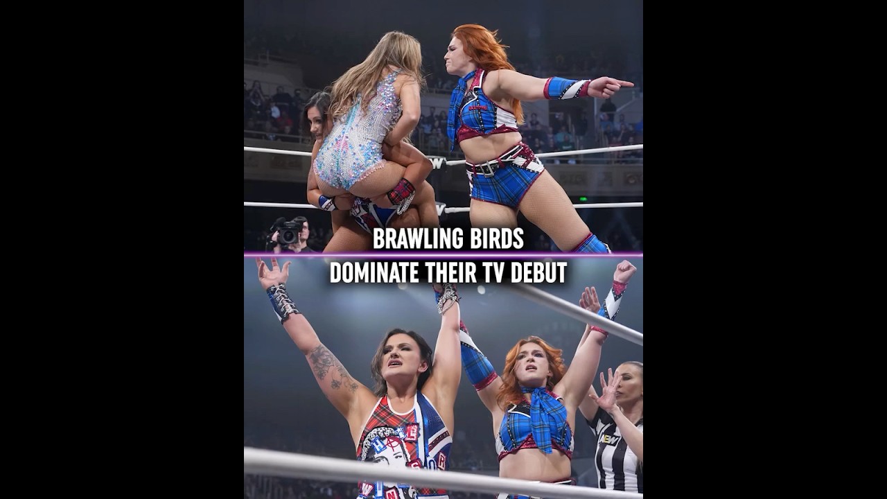 STOMP and CLAP for the Brawling Birds 💥👏