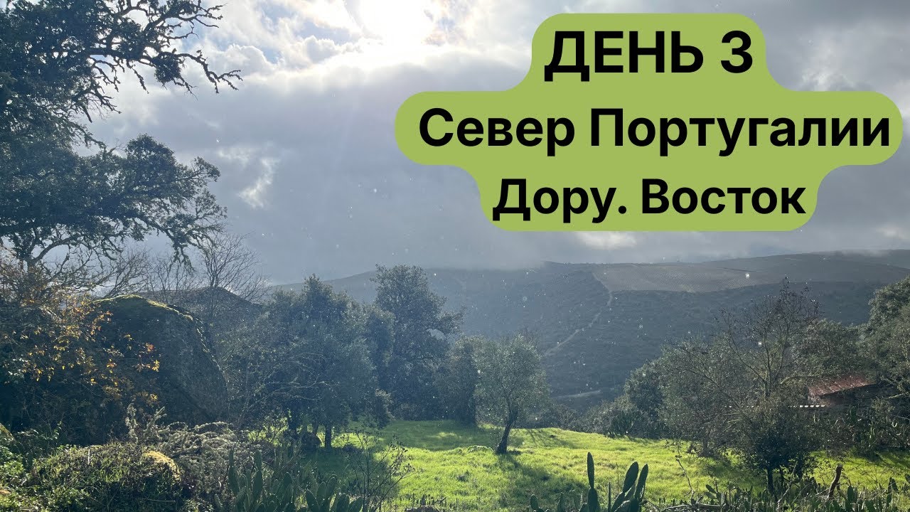 ДЕНЬ 3 | Дору. Граница и тишина | Новогоднее путешествие по Португалии