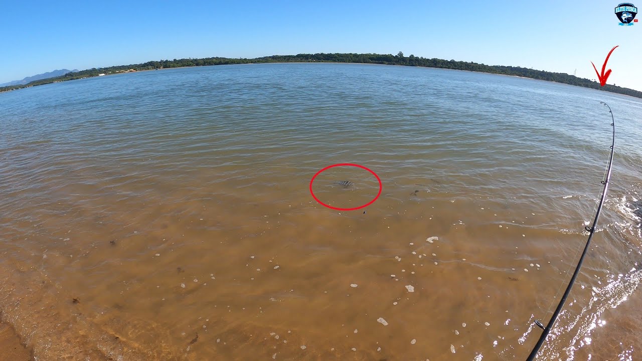 [INCRIVEL] USEI MINHOCA DA TERRA NA PRAIA , E OLHA OQUE PEGUEI | Pescaria de Praia