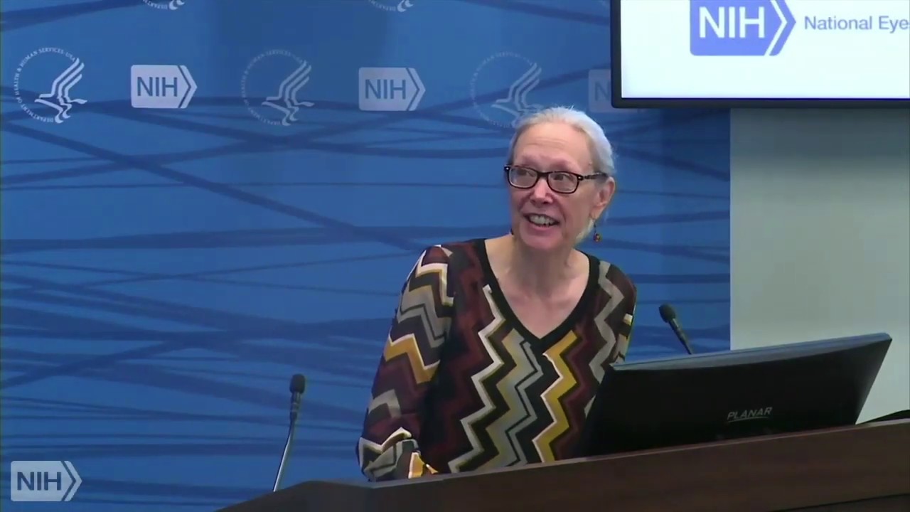 Perception and Psychophysics and Myopia and Refractive Error With Dr. Wiggs (Audio Description)