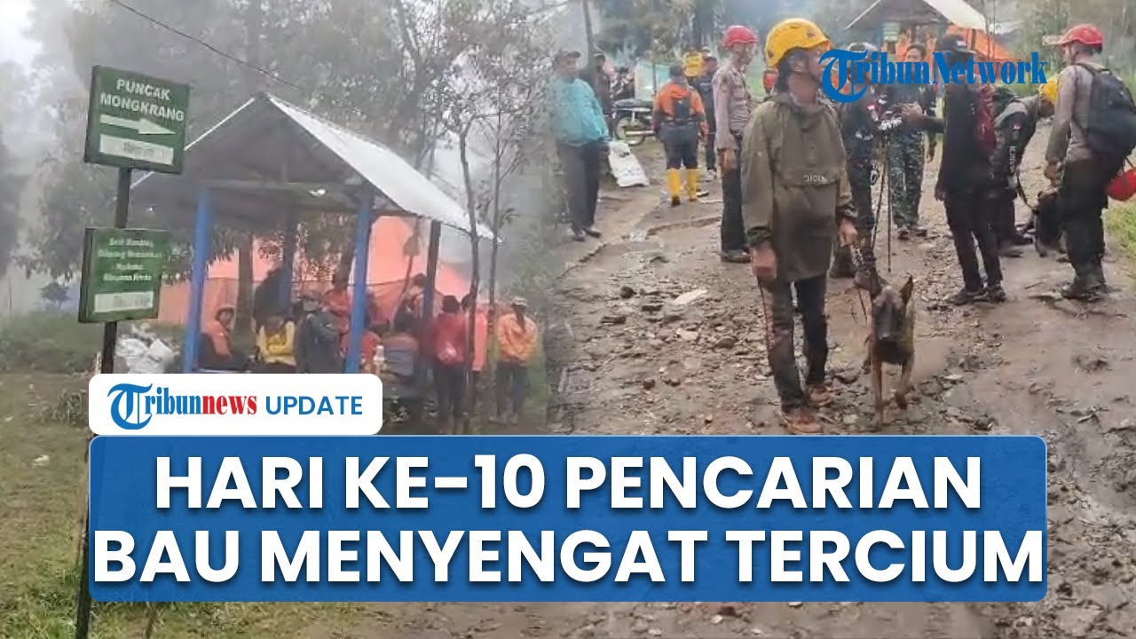 Hari ke-10 Pencarian Pendaki Hilang di Mongkrang, Tim SAR Cium Bau Menyengat di Pos 3 Tapak Nogo
