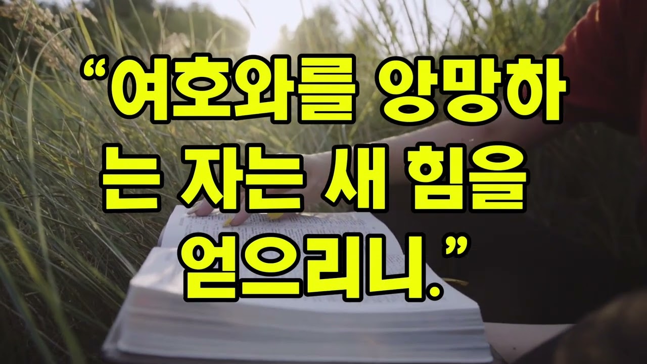 💬 “지쳐 있는 당신에게 | 이사야 40:31 묵상 | 새 힘을 얻는 아침 말씀”