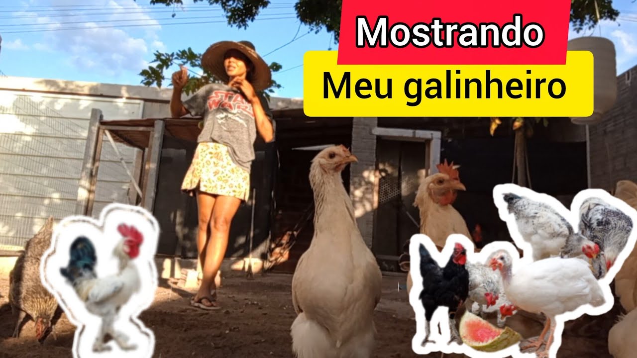 Terminando de capinar+ mostrando o galinheiro 