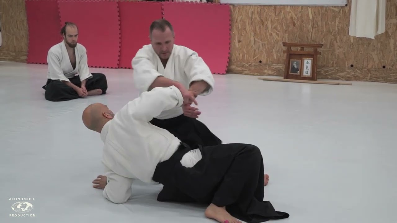 Aikido: Stephane Goffin Budapest 2023