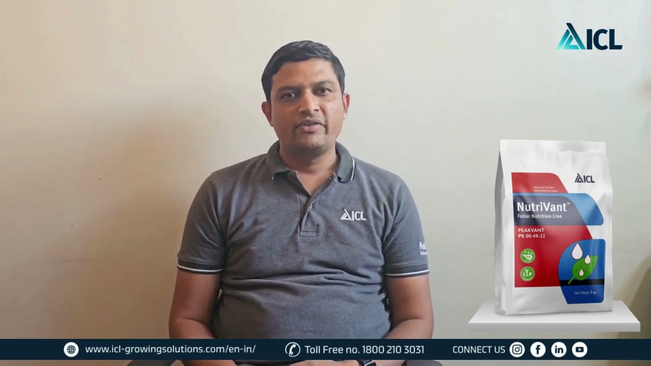 ICL Product Advice | Dr. Nilesh Nimase l NutriVant PEAKVANT | Marathi | ICL India