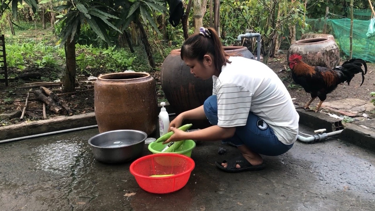 Ra vườn hái rau nấu bữa cơm chiều