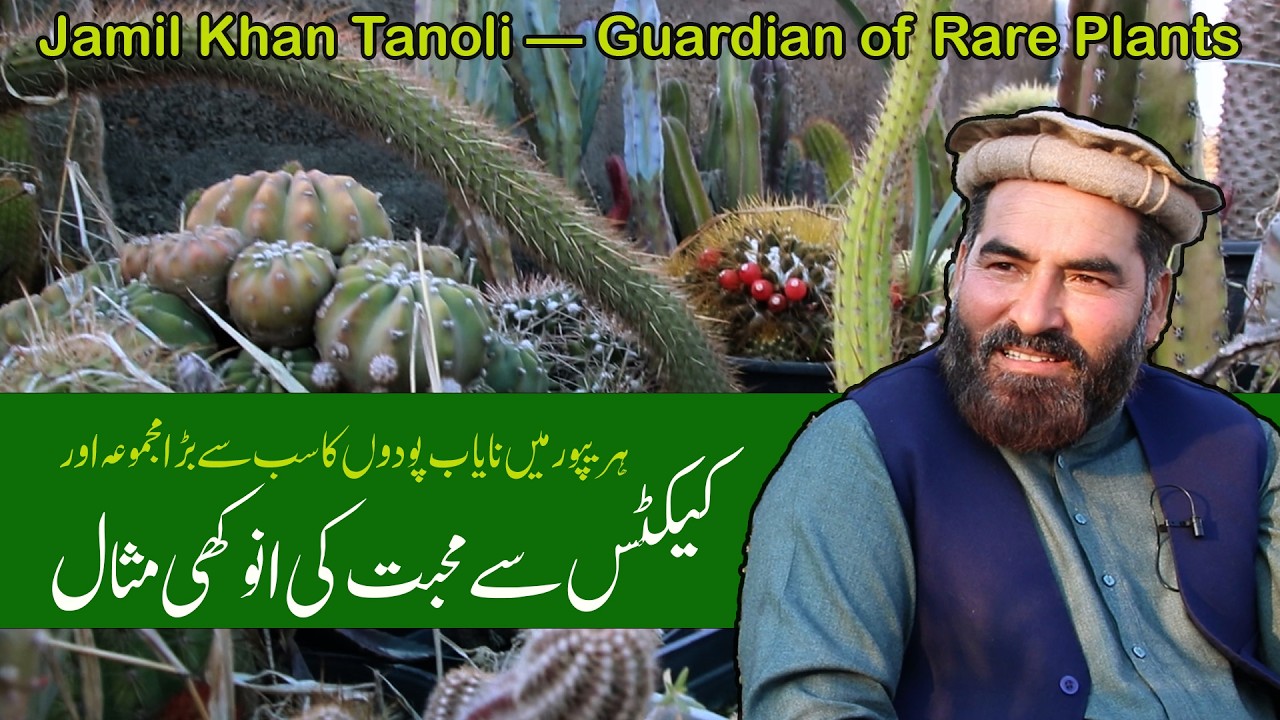 Love for Cacti, Commitment to Nature کیکٹس سے محبت، فطرت سے وابستگی