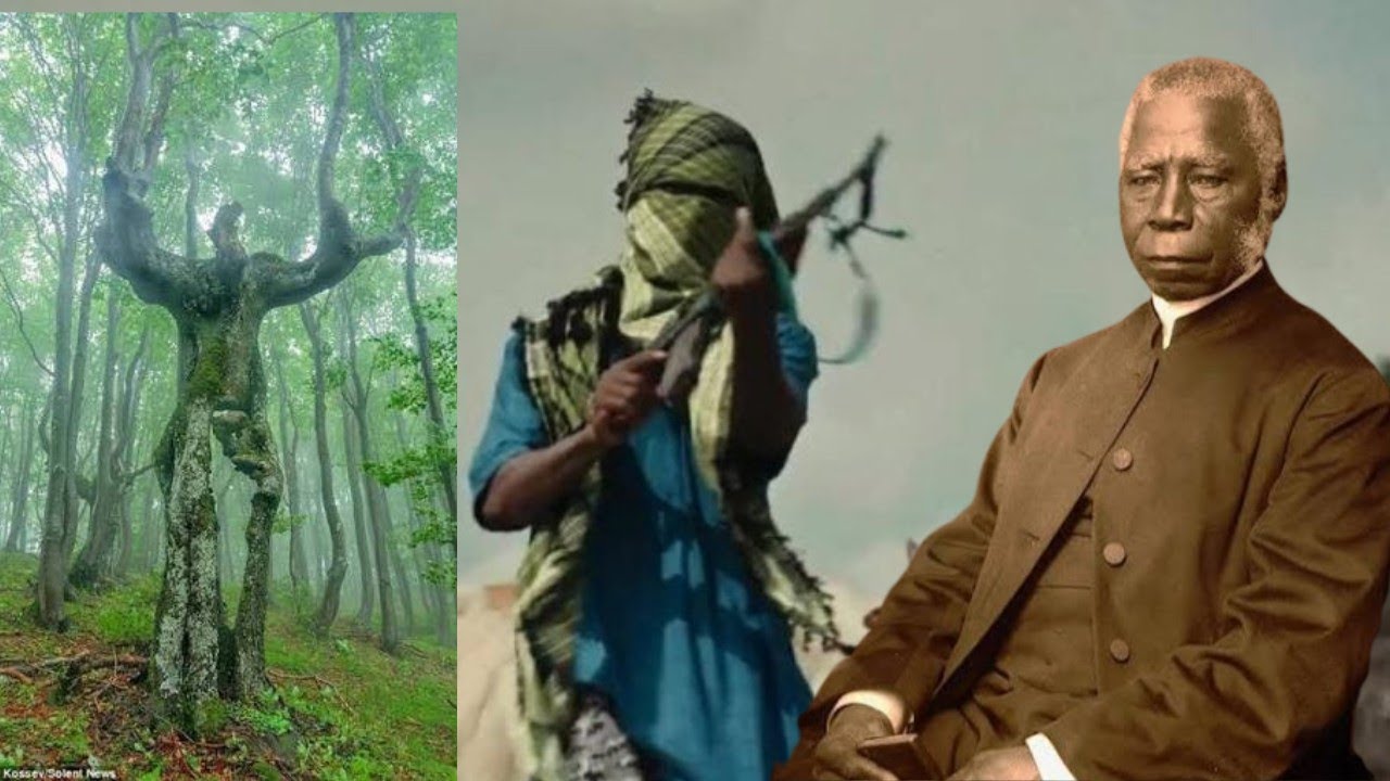OSOOGUN: HOW MYSTERIOUS TREE OF WONDERS REFUSED TO SAVE AJAYI CROWTHER FROM FULANI IN HIS HOMETOWN