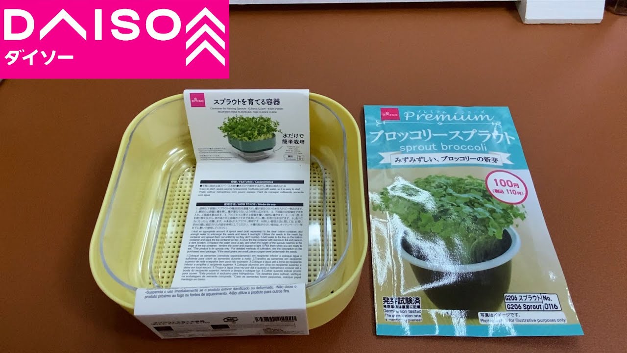 【ダイソー購入品】スプラウトを育てる容器