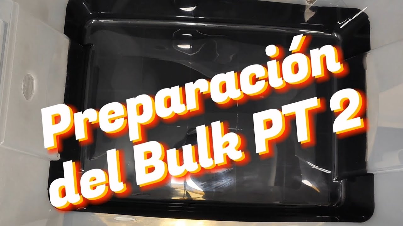 Cómo hacer un pan de setas 🍄🫙🦠 (BULK) PT2