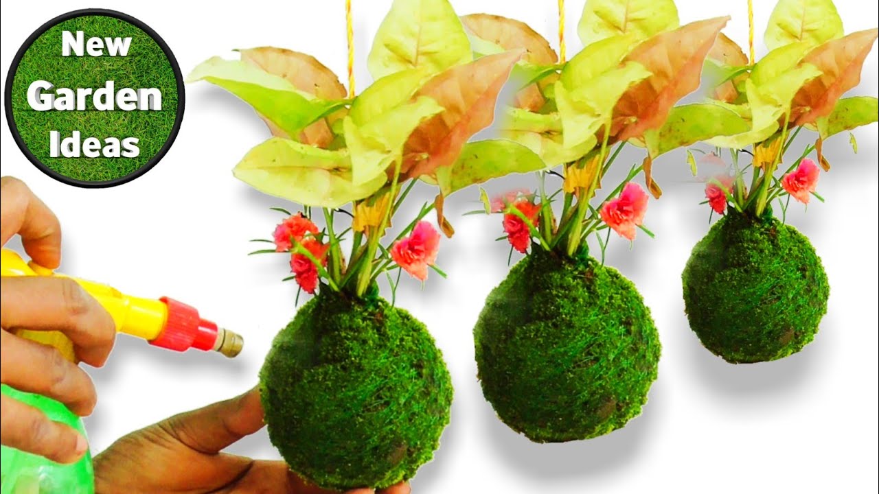 How to Make Kokedama/Japanese Moss Ball/Kokedama Garden/Hand Made/New Method
