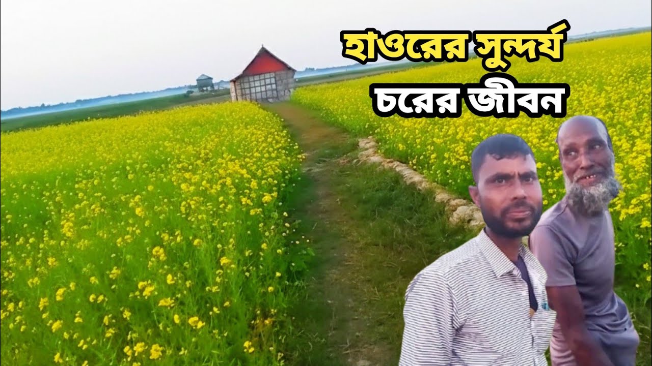 The beauty of the haor, the life of the char, হাওর অঞ্চল  village 