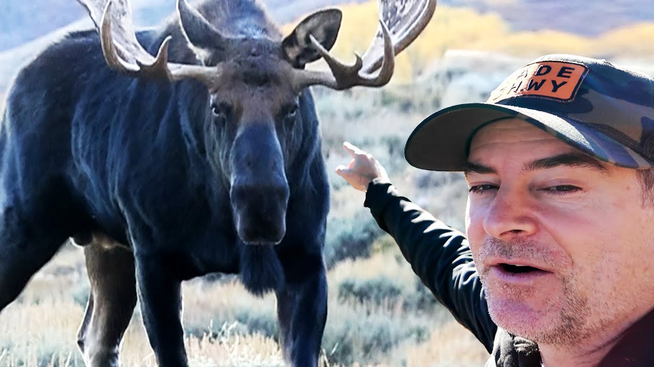 Exploring Jackson Hole, Mormon Row & the National Museum of Wildlife Art [Part 3-Travel Vlog]