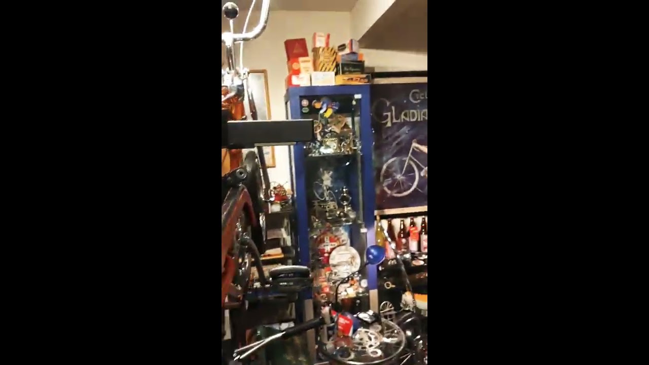Schwinn Factory Rare Vintage Bicycle Collection