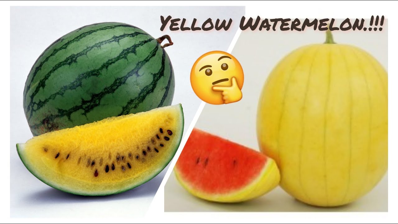 Unique Yellow Watermelon | Rare Fruit in India