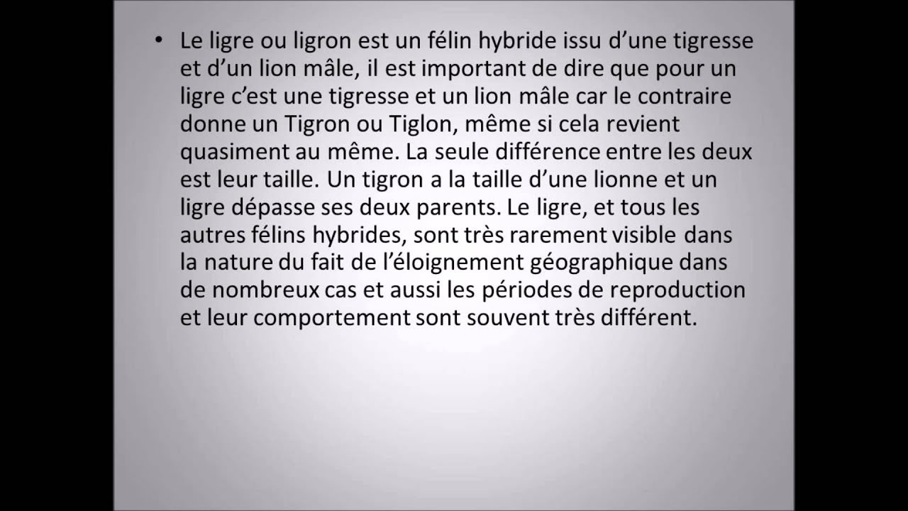 Tout sur les animaux #11 : Le ligre