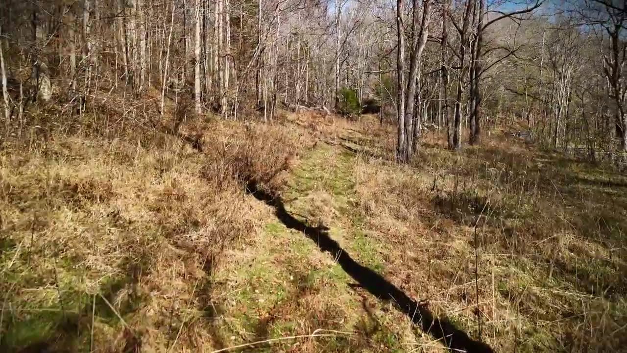 2400 Chicken Creek Rd, Pulaksi TN