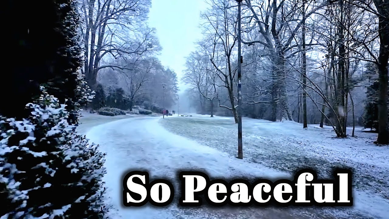 Snow Falling Gently 🌨️ A Quiet Winter Journey Germany 🇩🇪 4K 