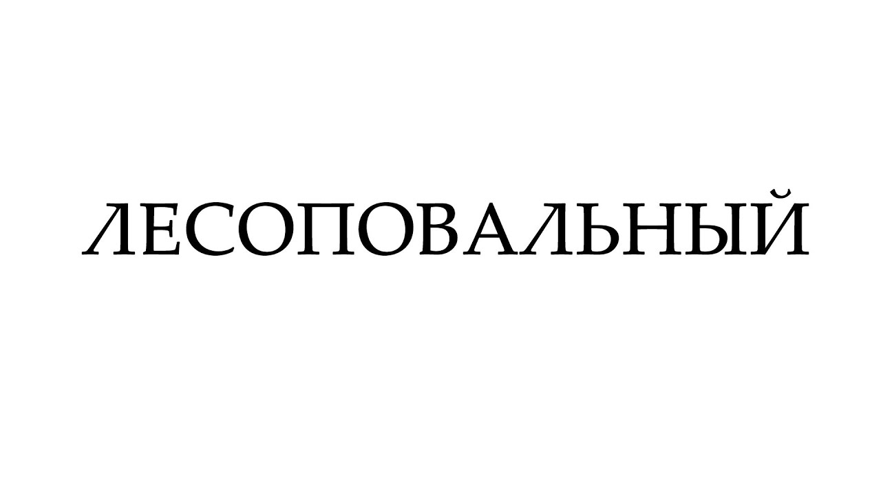Поэт без усов - Владимир Владимирович Лесоповальный (Live)