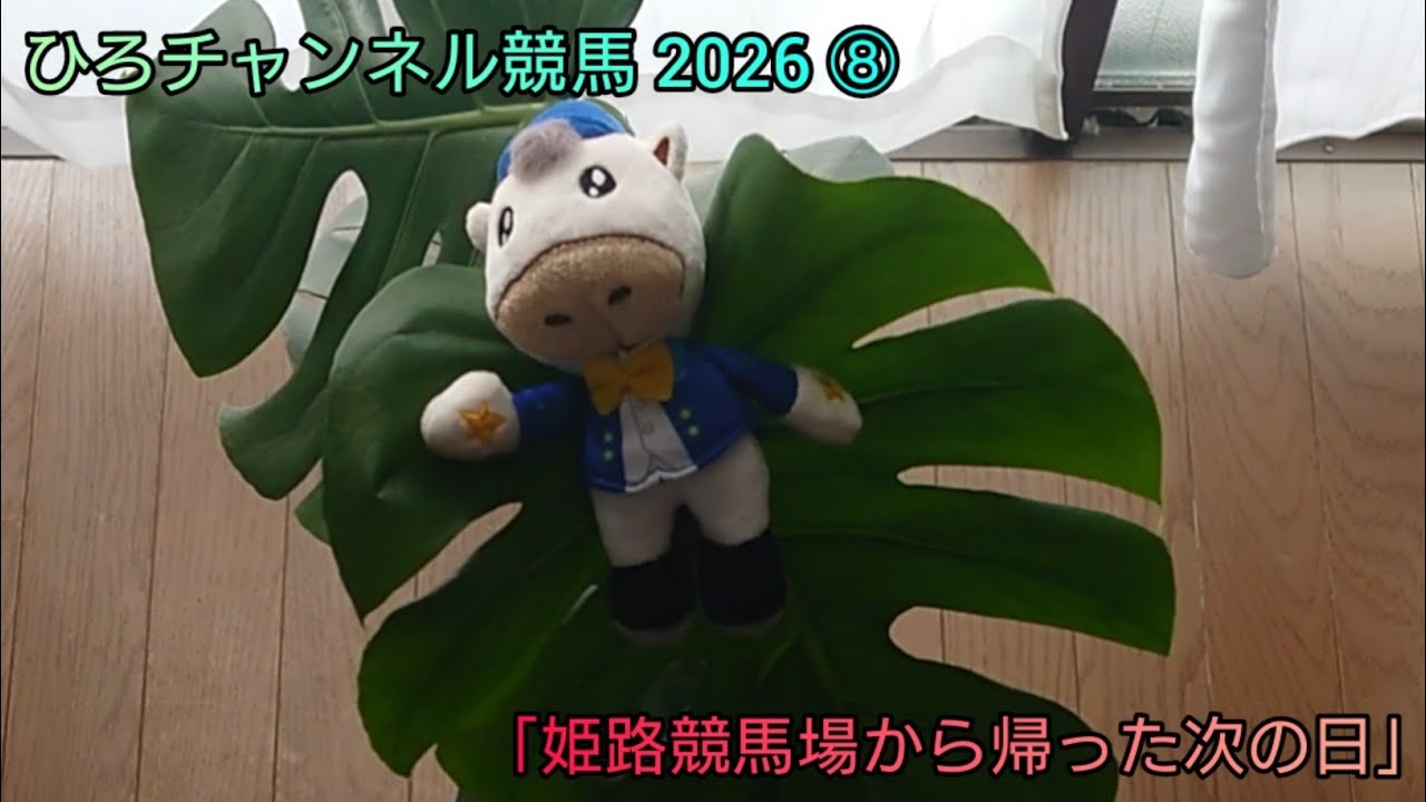 ひろチャンネル競馬 2026 ⑧ 「姫路競馬場から帰ったあと」