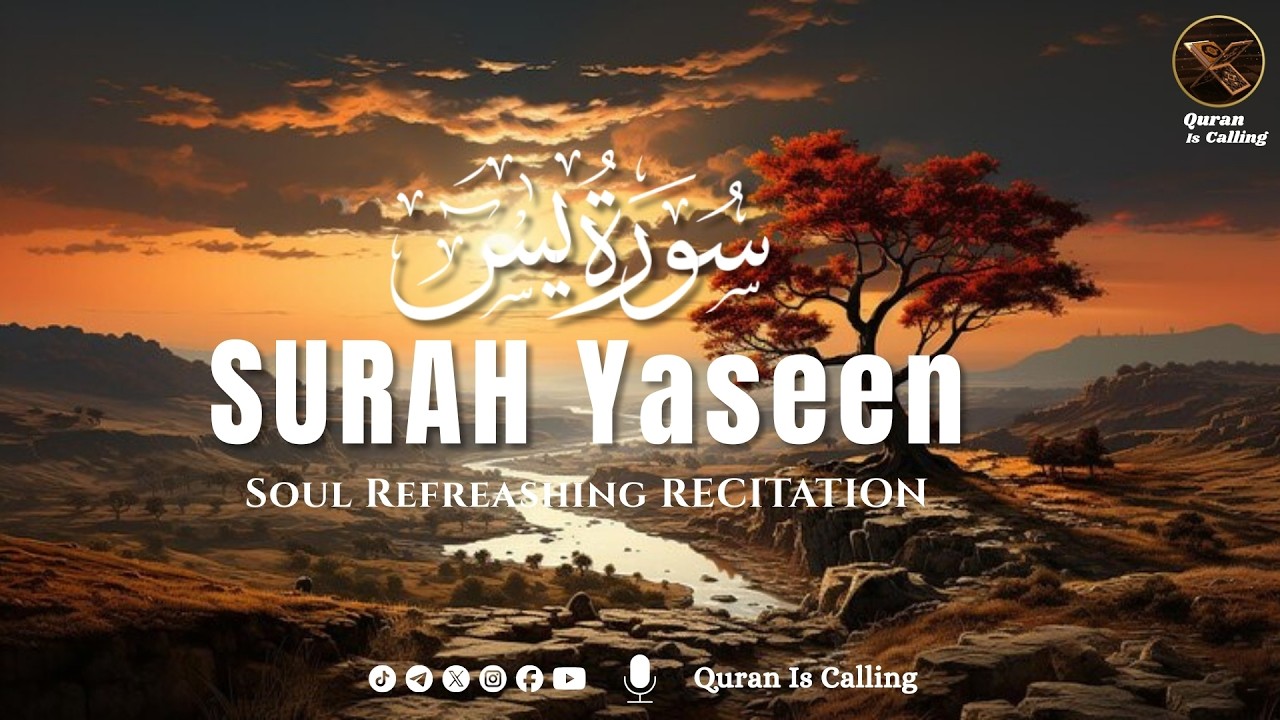 Surah Yaseen (Yasin) سورة يس | Deep Sleep Healing Heart Touching Quran Recitation